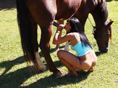 Skinny brunette shows how to have sex with a horse.