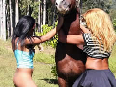 Skinny brunette shows how to have sex with a horse.