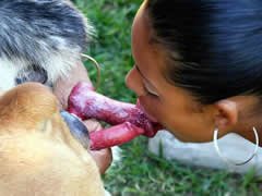 Two dogs lick eboni girl.