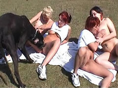 group orgy with a dog
