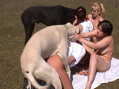 group orgy with a dog