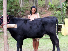 Sex with a cow