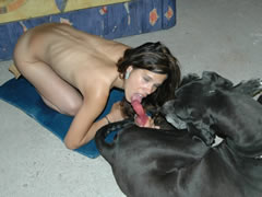 orgasm from sex with dog.