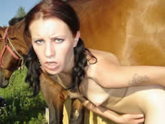 Outdoors horse sex