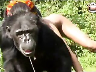Monkey sex with young ladys