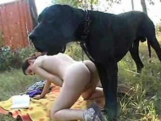 Hot girls party with two big dog