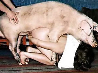 Zoo girls likes big pig dick